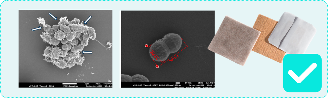 Copper kills biofilm bacteria