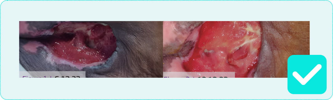 DUO Genadyne Case Study