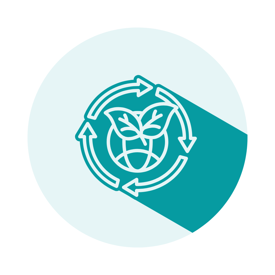 KytoCel Wound Dressings for Tissue Viability Nurses